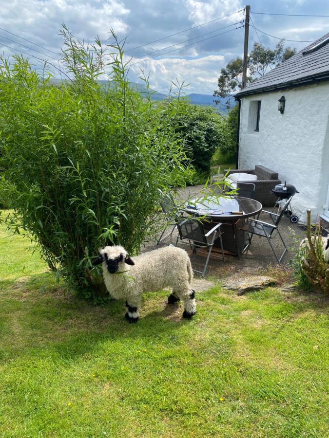 Fron Goch Cottage Dolwyddelan Buitenkant foto